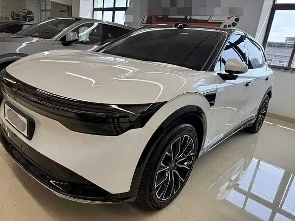 Zeekr 7X 2025