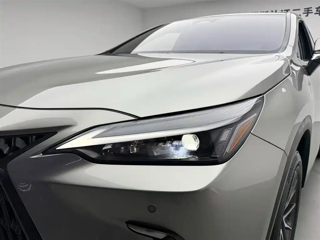 Lexus NX 2024 — фото 16
