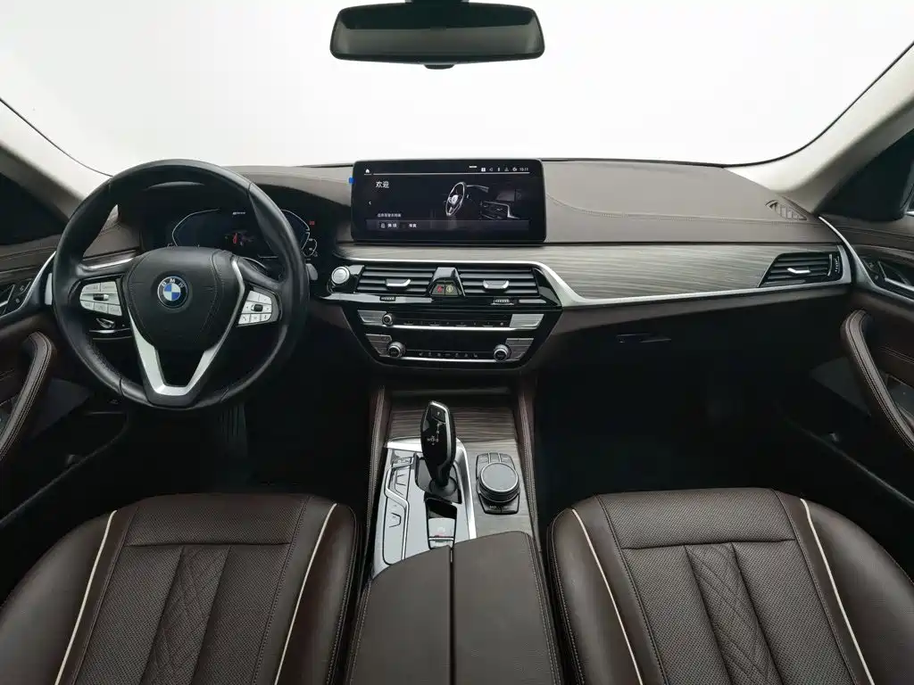 BMW 5 Series New Energy 2021