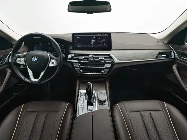 BMW 5 Series New Energy 2021