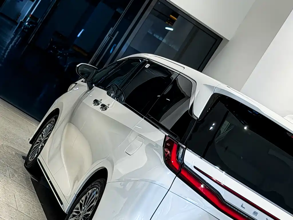 Lexus LM 2025 — фото 18