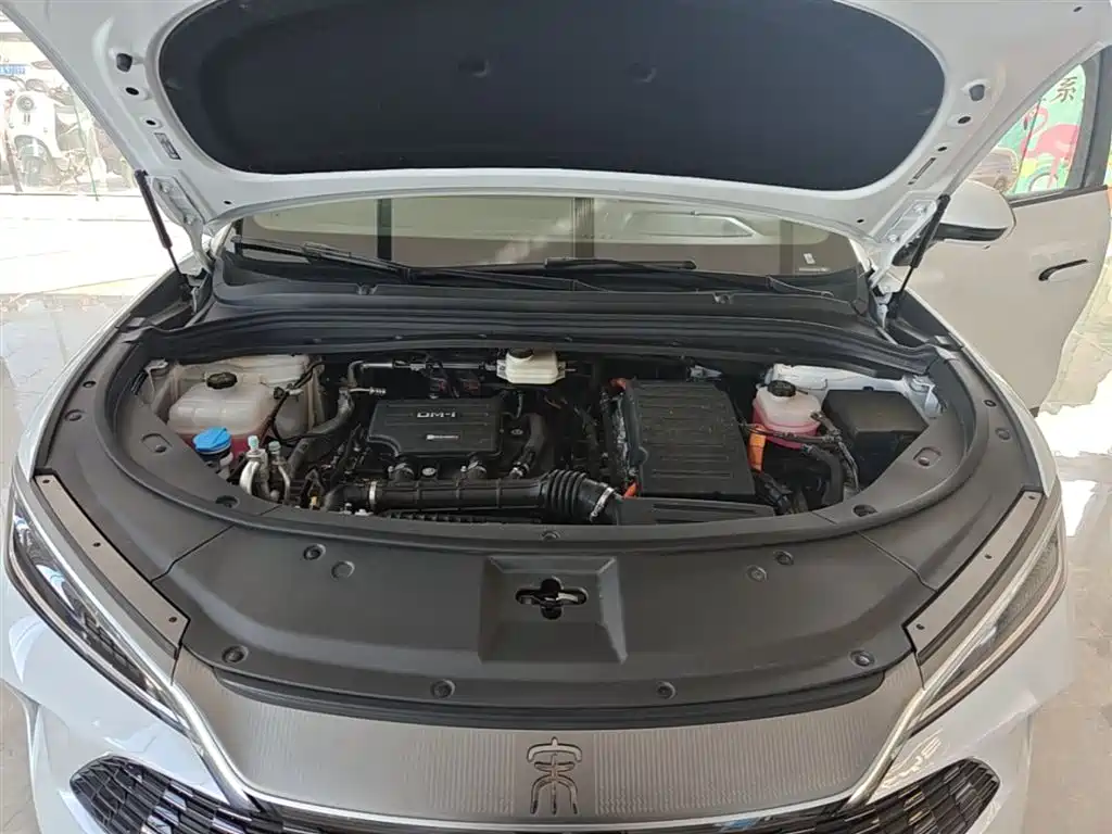 BYD L DM-i 2025 — фото 20