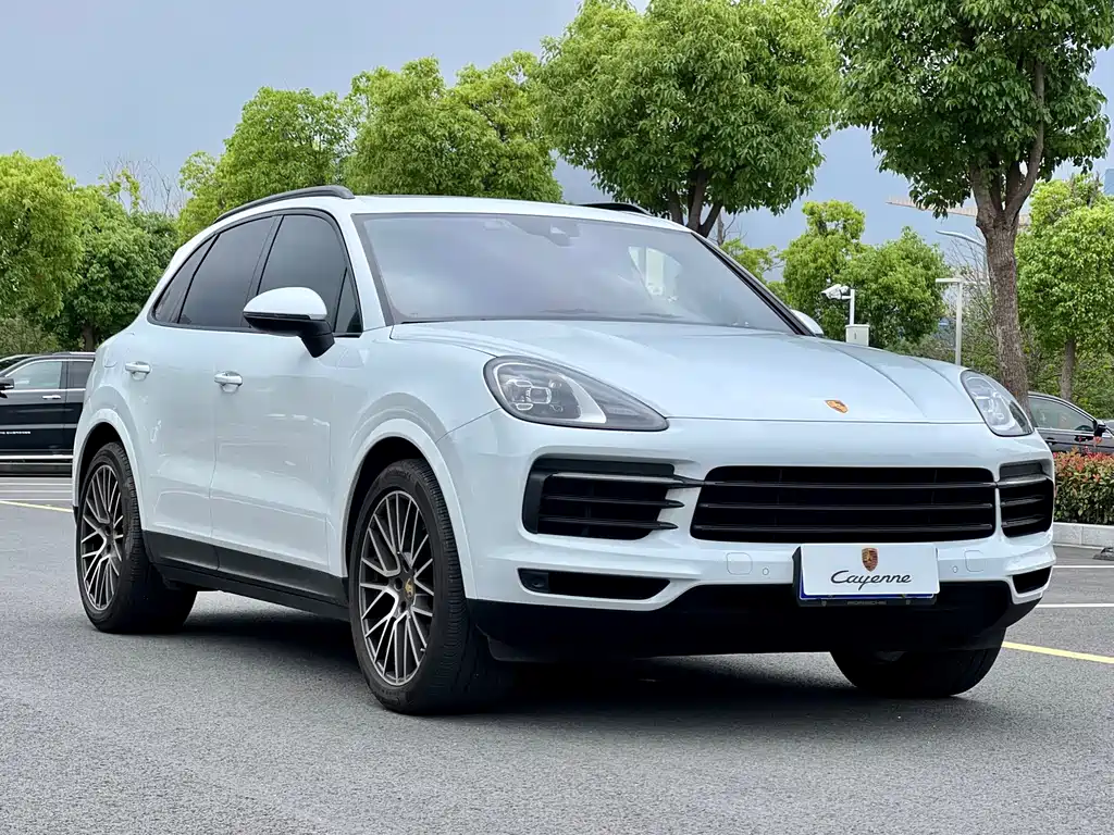 Porsche Cayenne 2021 — фото 3