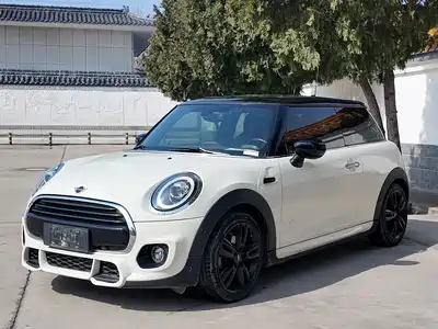 MINI MINI 2021