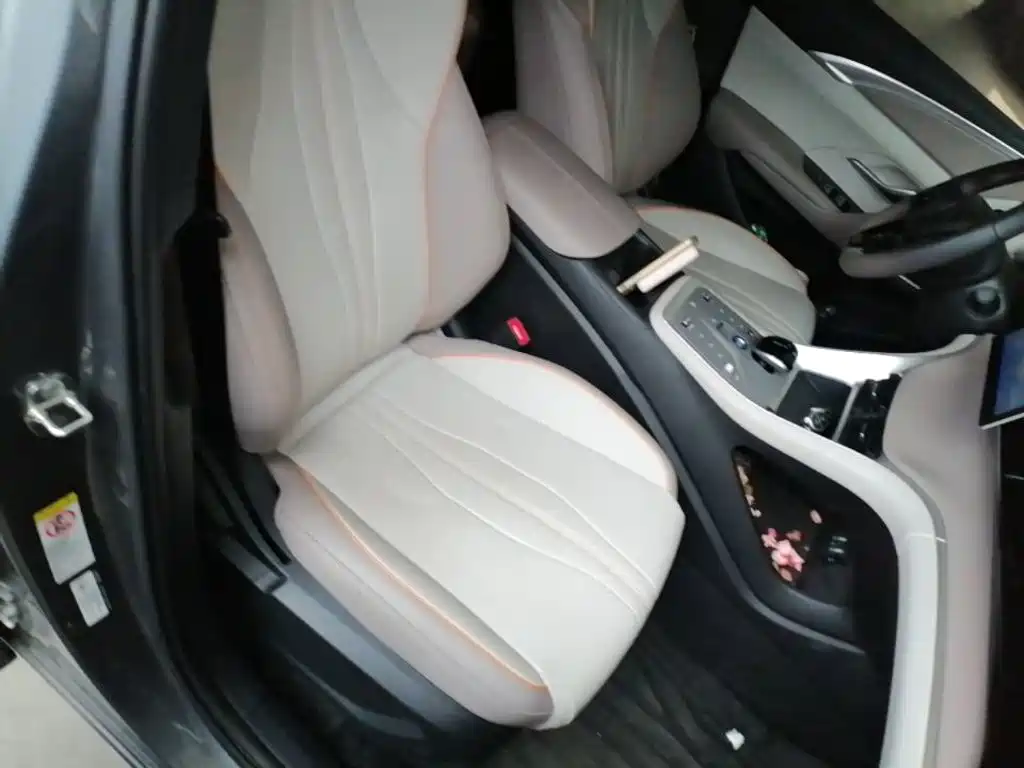 BYD Pro New Energy 2025 — фото 25