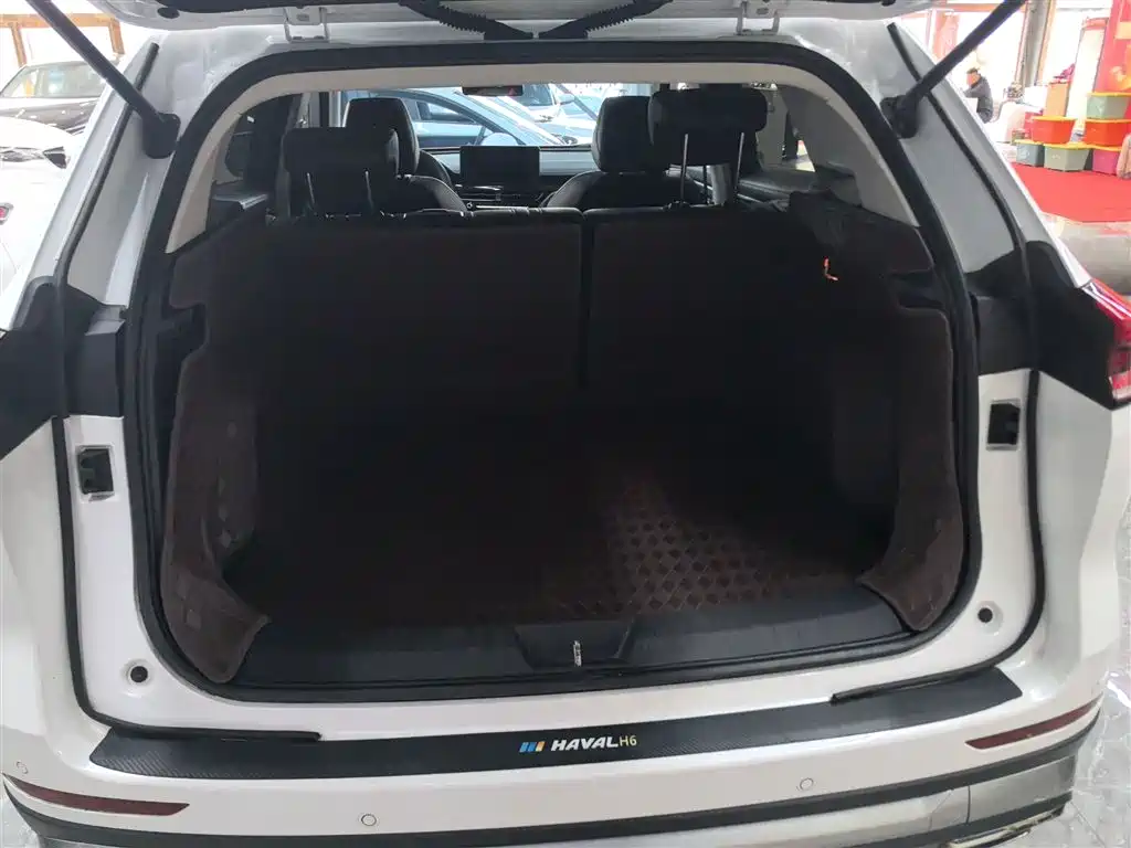 Haval H6 2021 — фото 19
