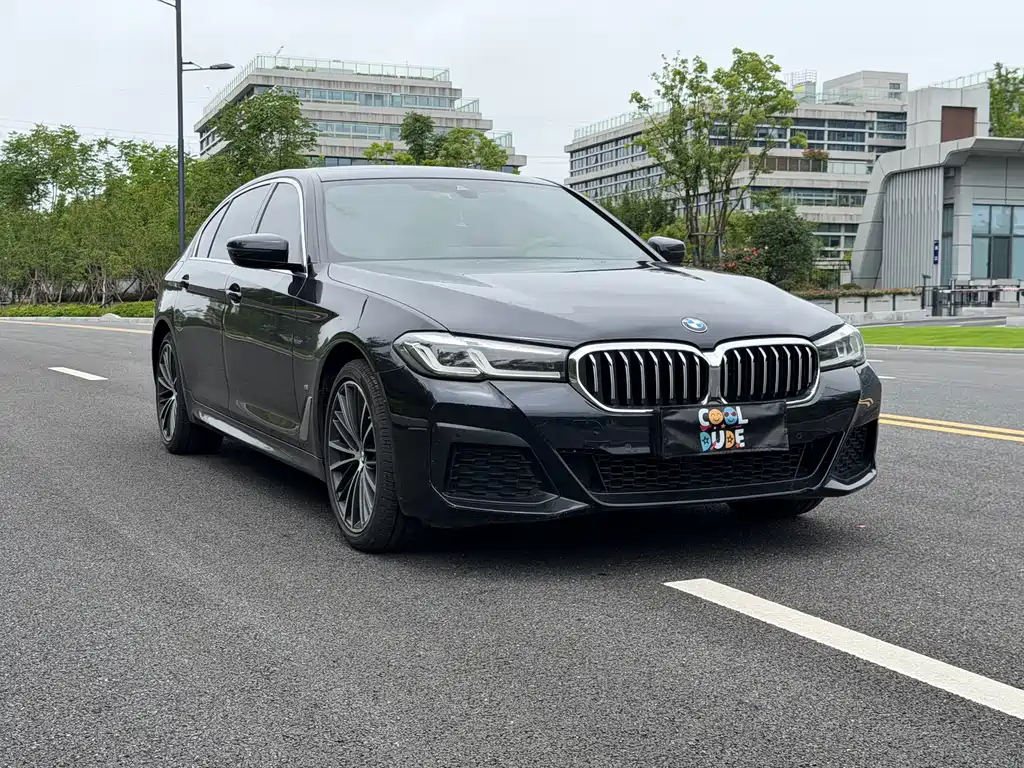 BMW 5 Series 2022