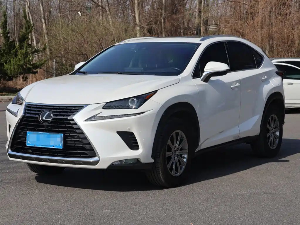 Lexus NX 2019 — фото 1
