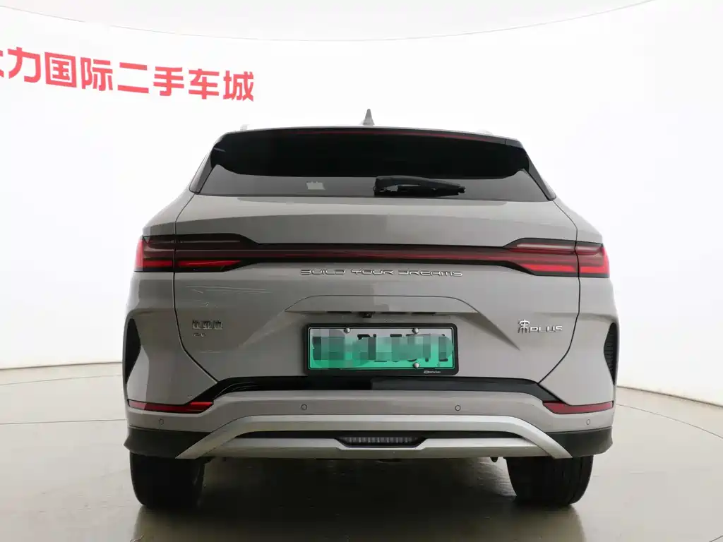 BYD PLUS New Energy 2024 — фото 15