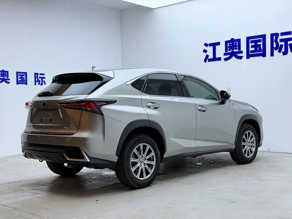 Lexus NX 2021 — фото 19