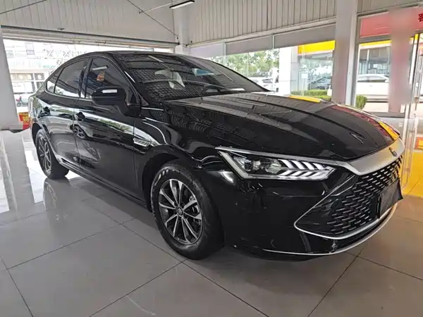 BYD Qin PLUS 2024