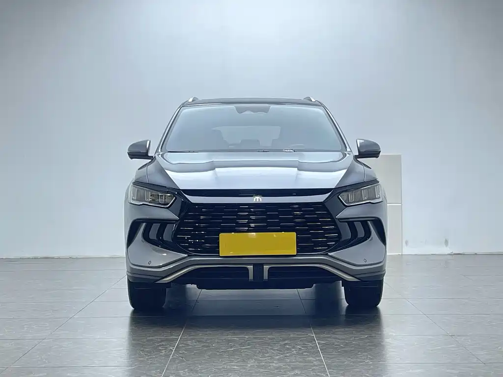 BYD Pro New Energy 2024 — фото 2