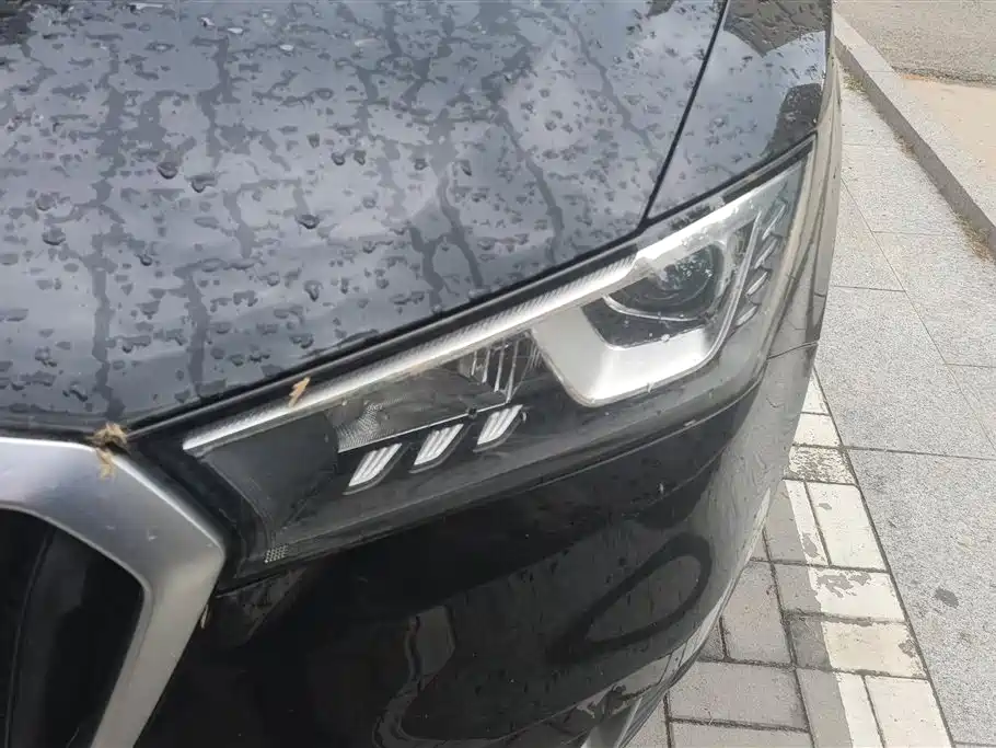 Borgward BX5 2017