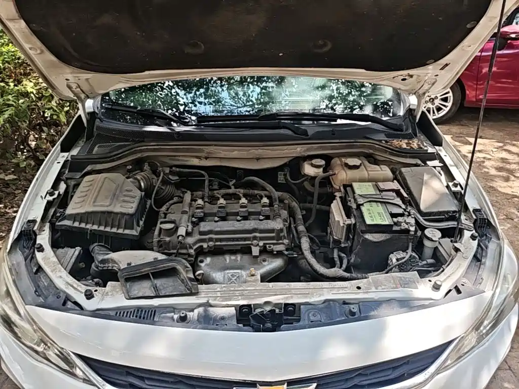 Chevrolet Cavalier 2017 — фото 20