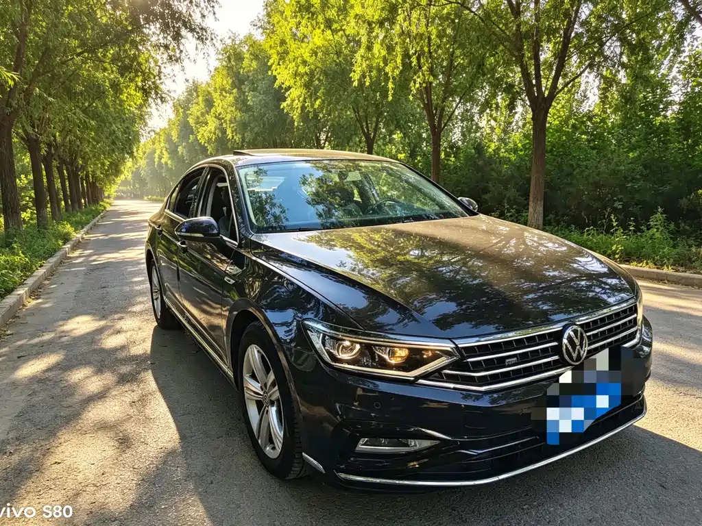 Volkswagen Magotan 2024