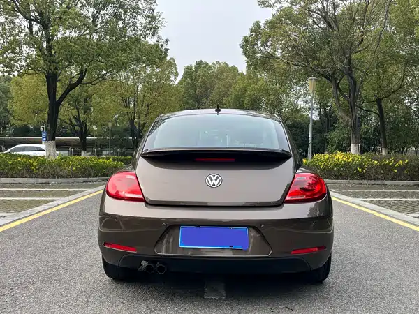 Volkswagen Beetle 2014