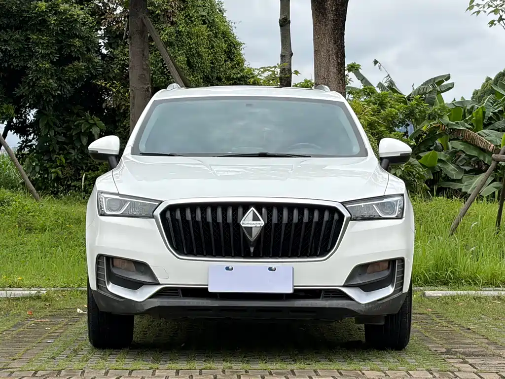Borgward BX5 2019 — фото 2