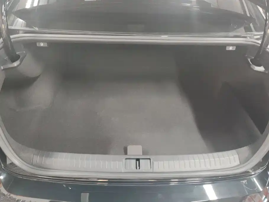Volkswagen Magotan 2019