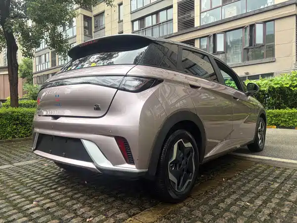 BYD Dolphin 2021