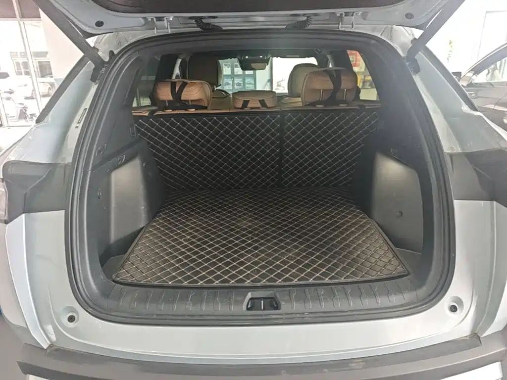 BYD Song L DM-i 2025 — фото 19