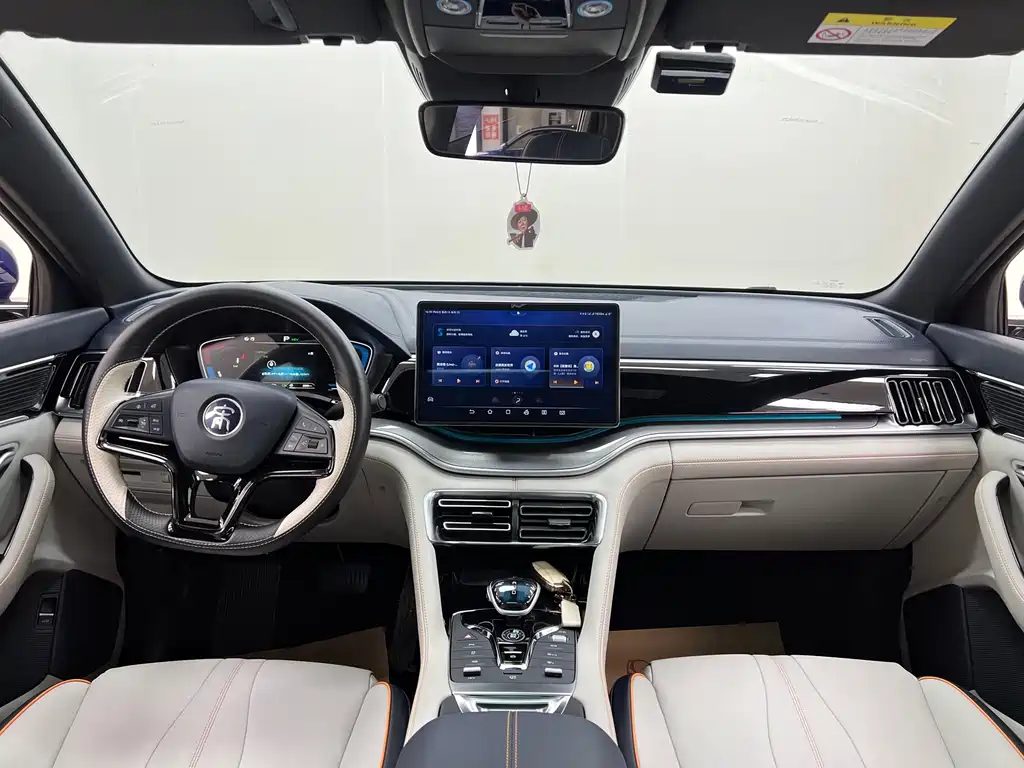 BYD PLUS New Energy 2022 — фото 20