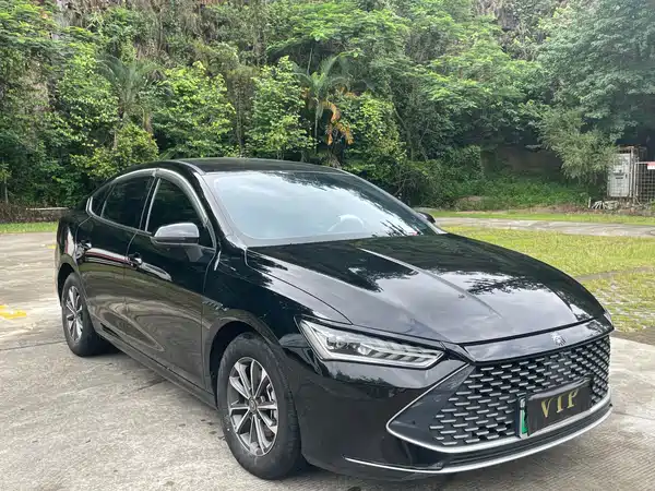 BYD Qin PLUS 2024