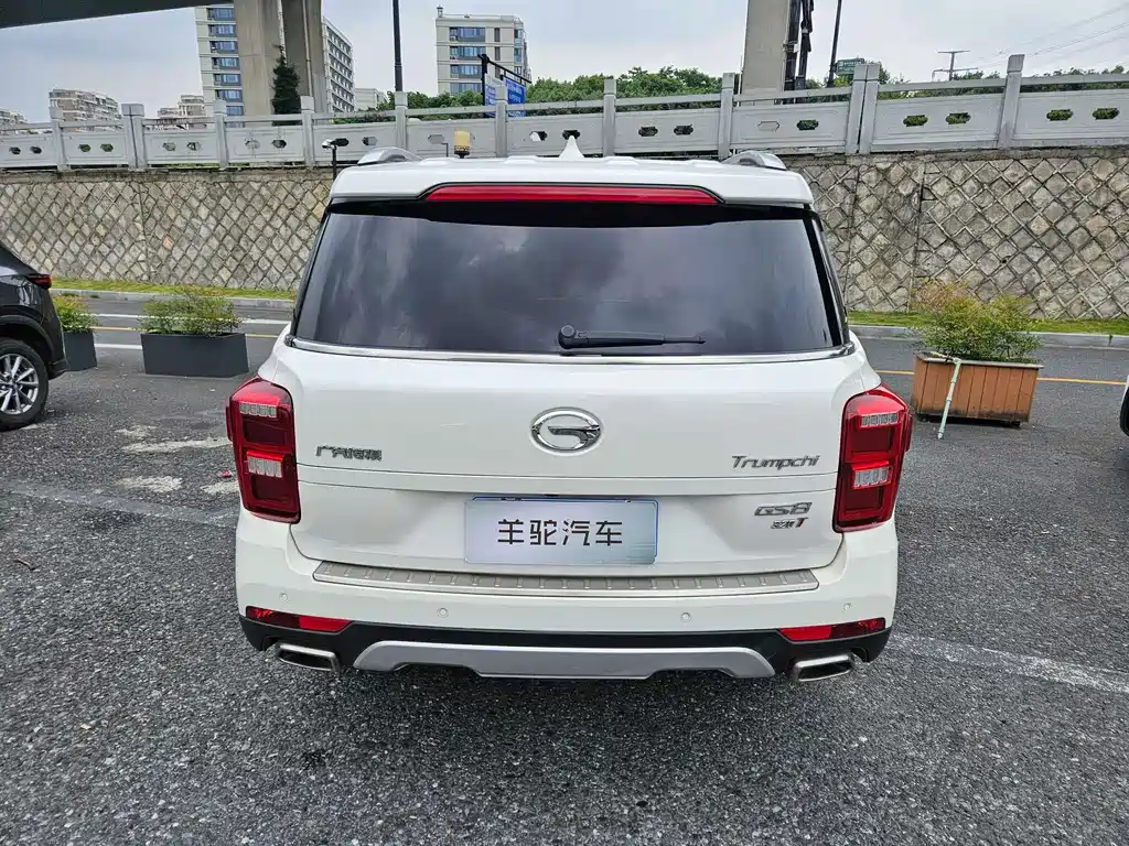 GAC Motor Trumpchi GS8 2017 — фото 5