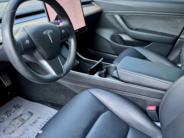 Tesla Model 3 2019