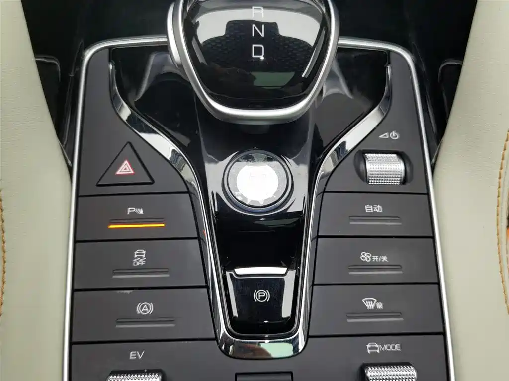 BYD PLUS New Energy 2022 — фото 13