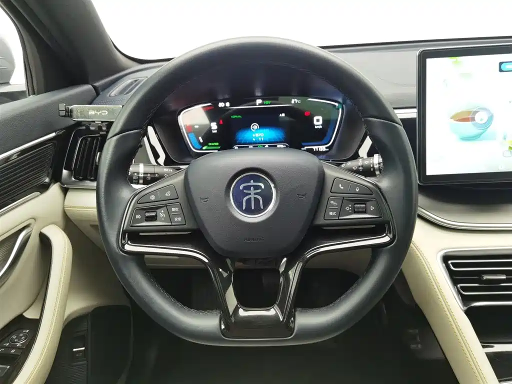 BYD PLUS New Energy 2022 — фото 11