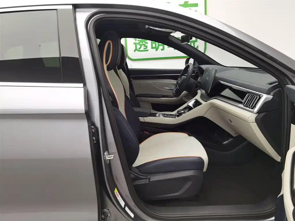 BYD PLUS New Energy 2022 — фото 23