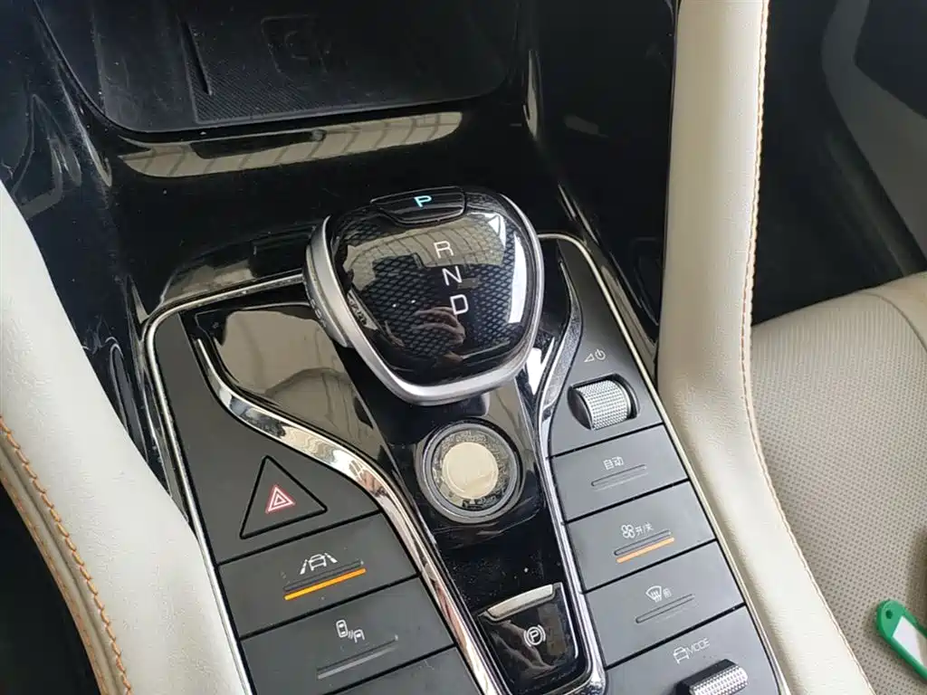BYD PLUS New Energy 2022 — фото 14