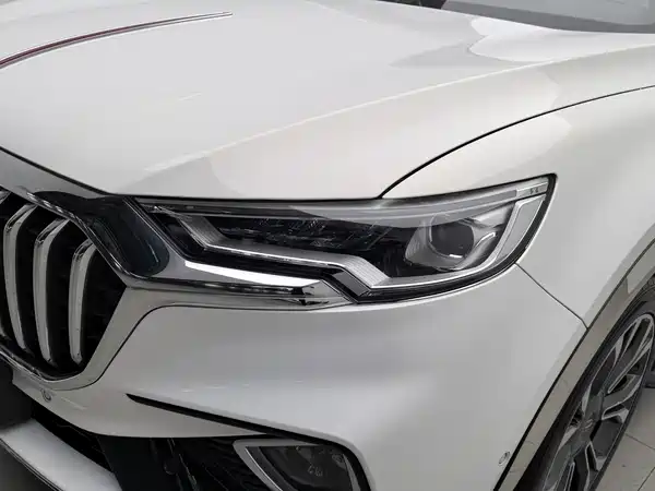 Hongqi HS5 2019