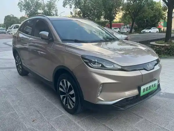 WM Motor EX5 2019