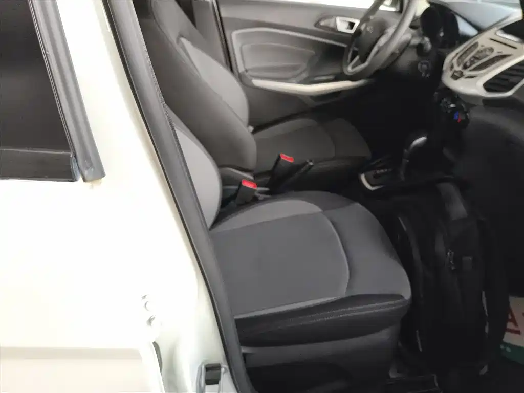 Ford Ecosport 2016 — фото 25