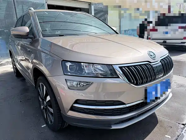 Skoda Karoq 2019
