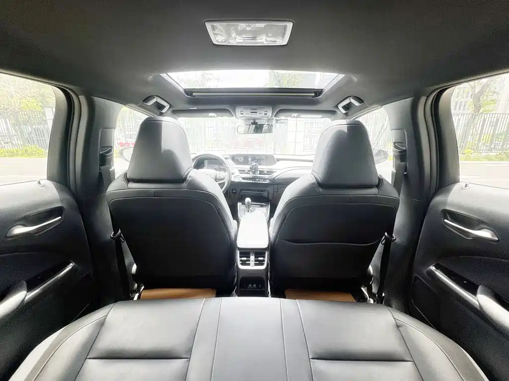 Lexus UX New Energy 2021 — фото 14