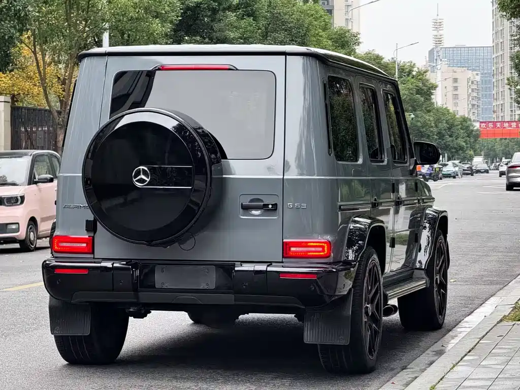 Mercedes-Benz G-Class 2018 — фото 19