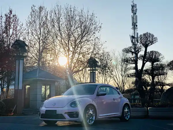 Volkswagen Beetle 2015