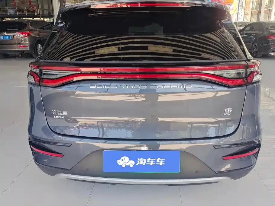 BYD Tang New Energy 2024 — фото 4
