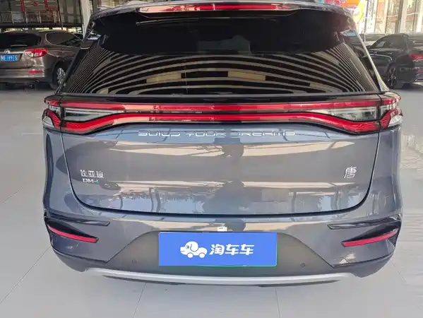 BYD Tang New Energy 2024