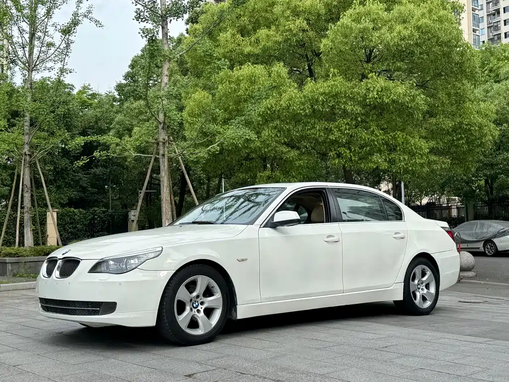 BMW 5 Series 2009