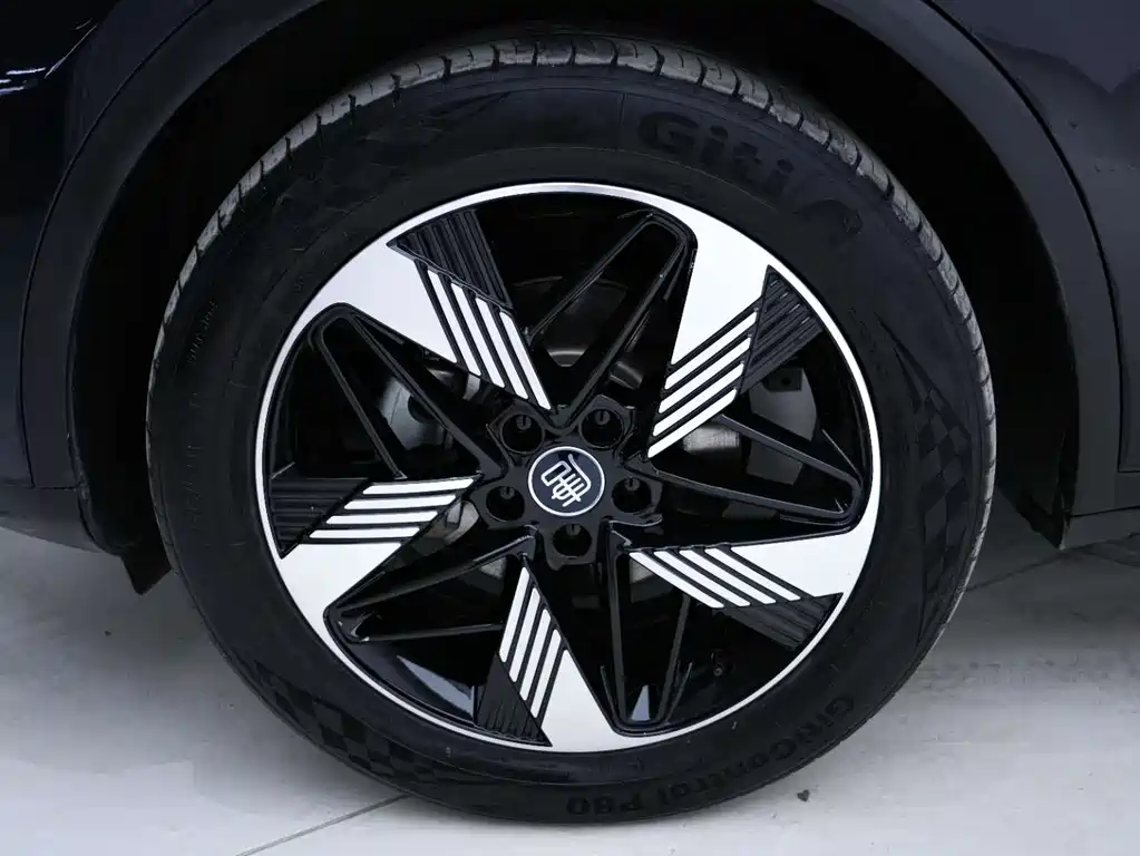BYD Tang New Energy 2023 — фото 12