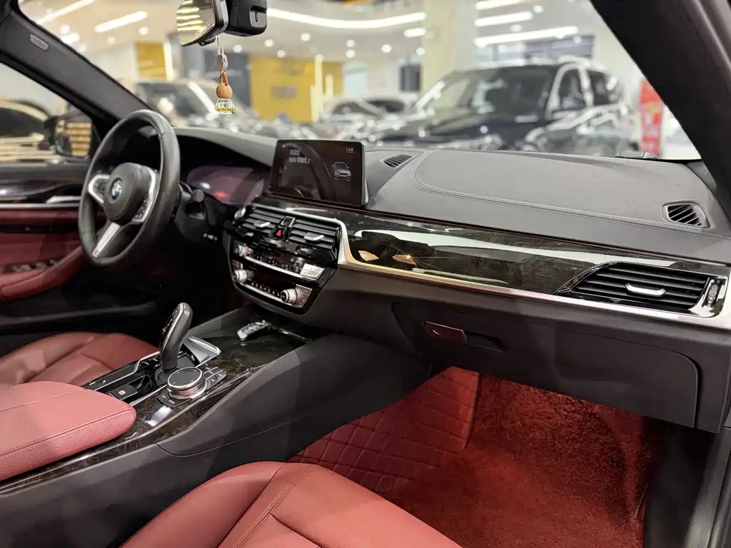 BMW 5 Series 2019 — фото 11