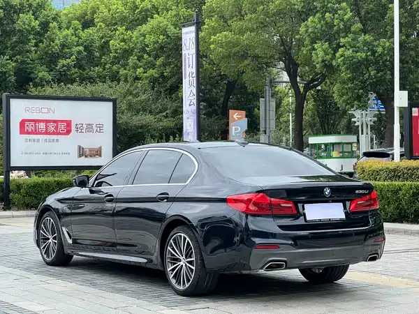 BMW 5 Series 2020