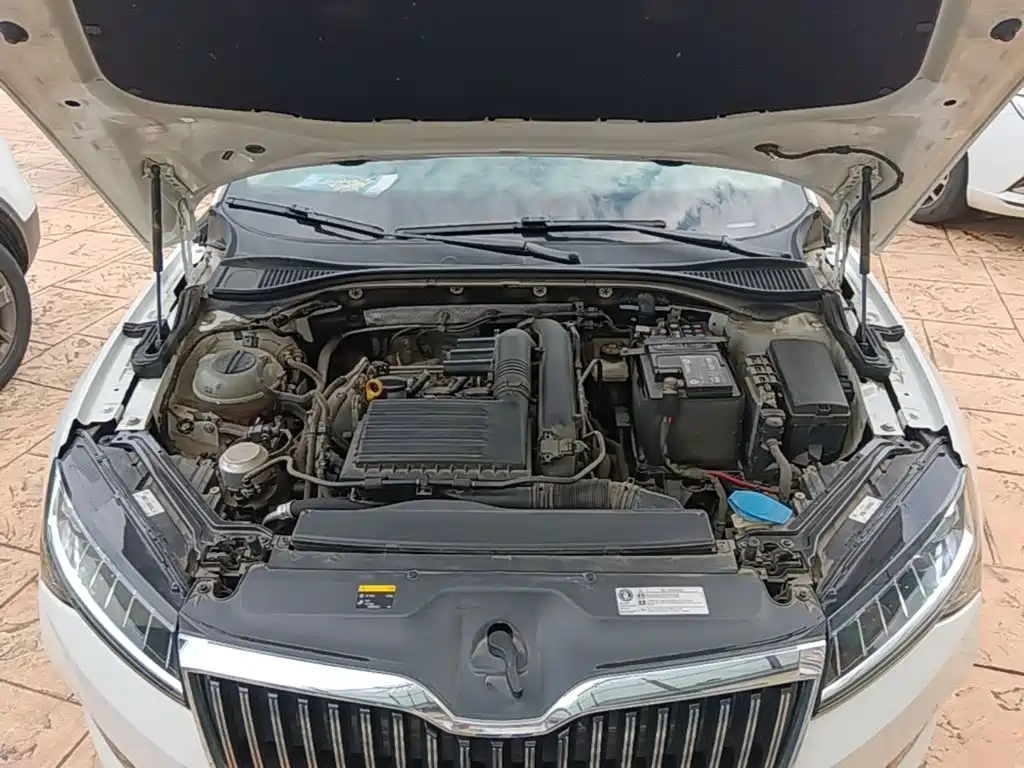Skoda Speedy 2020 — фото 20