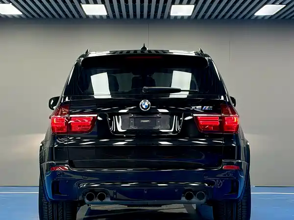 BMW X5 M 2010