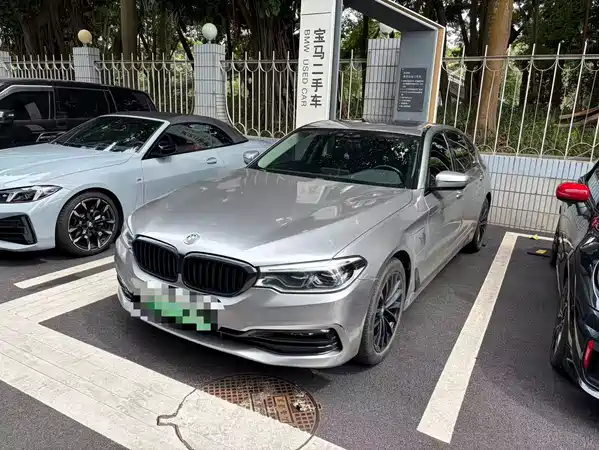 BMW 5 Series New Energy 2019