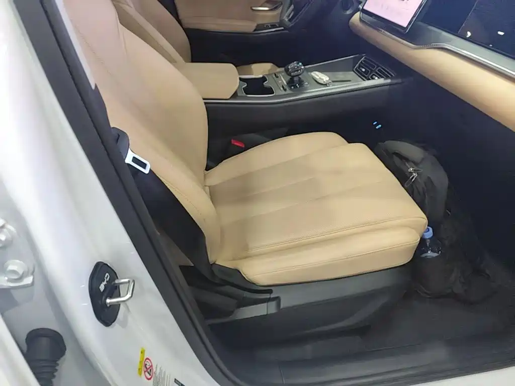 BYD Song Pro New Energy 2025 — фото 25