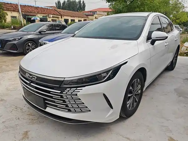 BYD Destroyer 05 2022